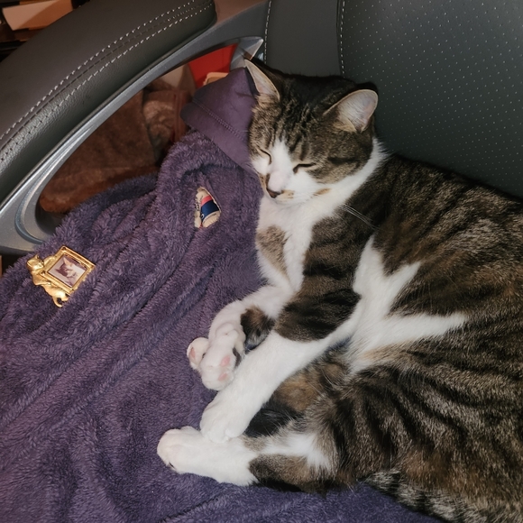 Meet your Posher, Debby, aka Dare 2 Dazzle, LLC - Picture 2 of 16